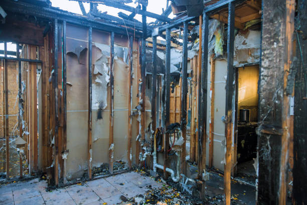Professional Fire Damage Removal technician working in Herricks, NY